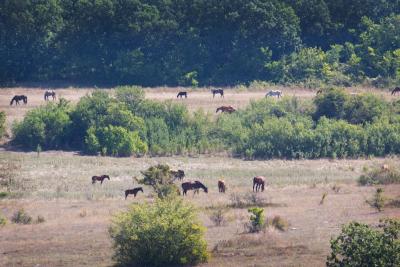 Прикрепленное изображение: IMG_7471.jpg